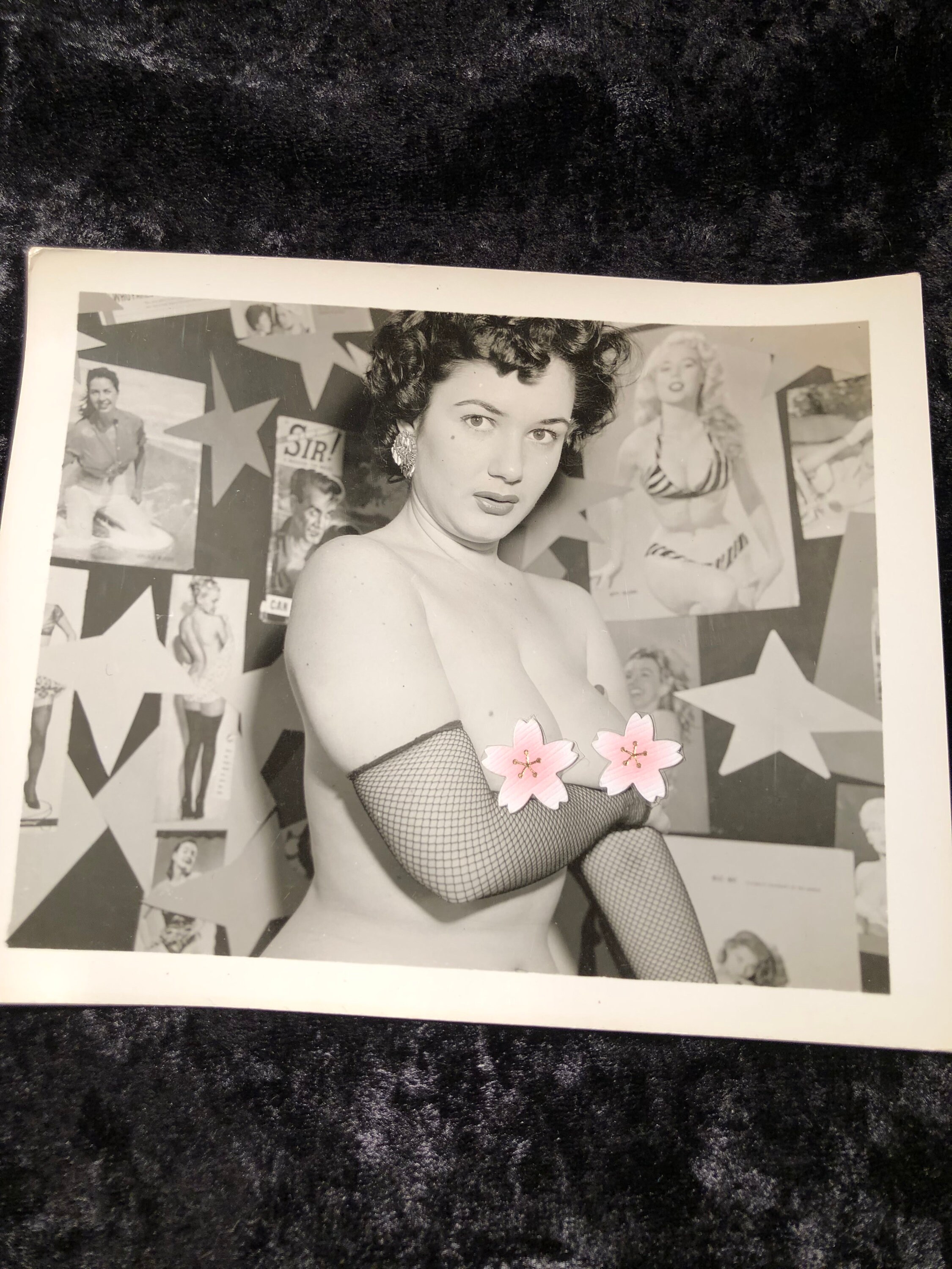 gallery photo
