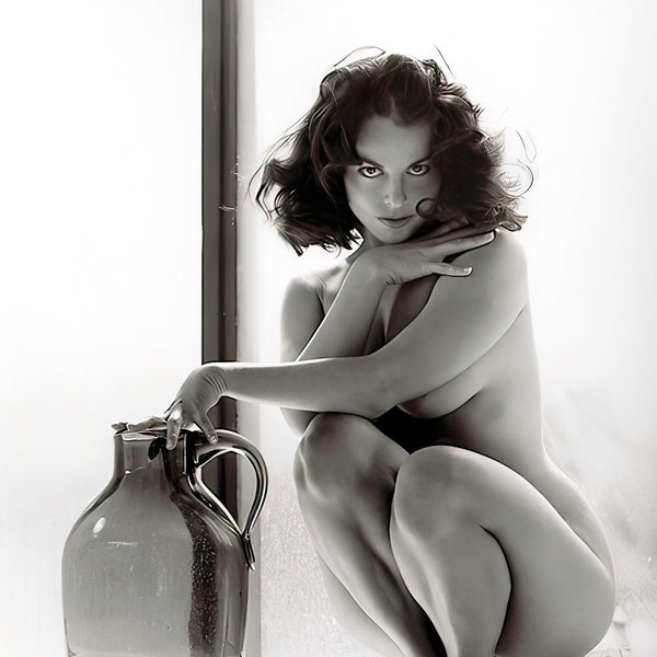 vintage pinup model Diane Webber circa 1955 - black & white, multiple sizes- classic, sexy, pinup, sensual, artistic, risqué [730-491]