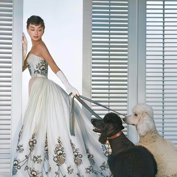 Audrey Hepburn em 'Sabrina' c. 1954 | cor | vários tamanhos | glamour ao estilo da velha Hollywood | atriz celebridade | impressão/pôster [1820]