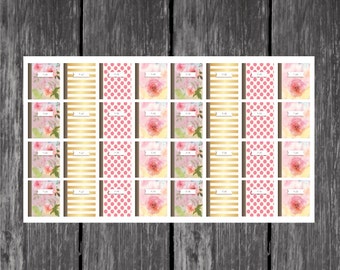 Plan Planner Stickers - Erin Condren, Kikki K, Filofax, Plum Paper, Limelife, Planning, Planner, Journal, Notebook