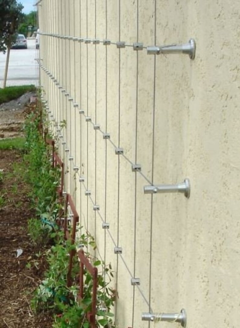 DIY Green Wall Cable Trellis Kit Cable Loft Standoff Etsy