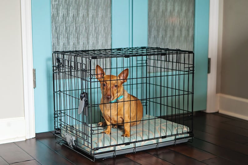 Dog Crate Bed Pad XS Sunbrella Cushion Sunbrella Dog Pad Etsy