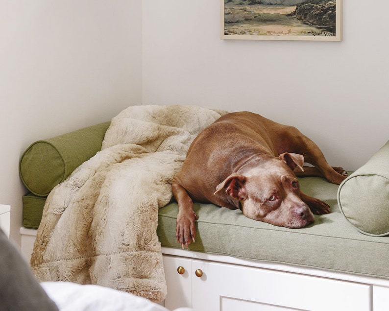 Sunbrella Custom Bench Cushion Dog Bed Window Seat / Etsy