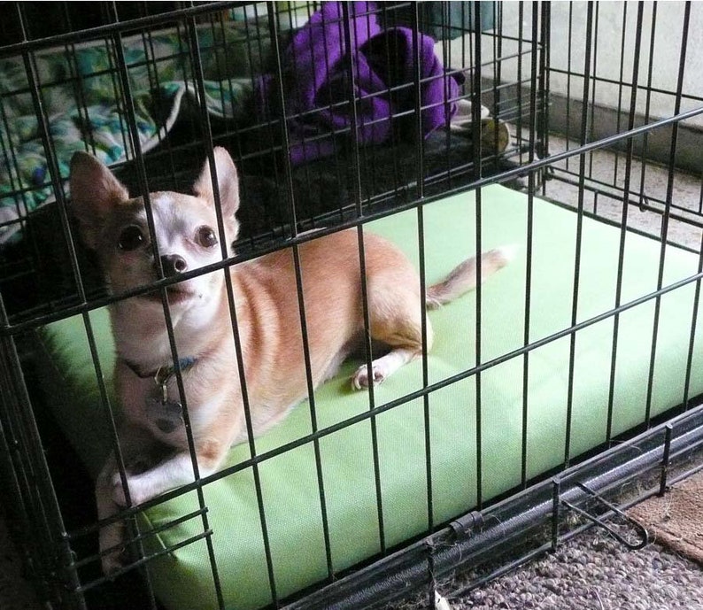 Dog Crate Bed Pad XS Sunbrella Cushion Sunbrella Dog Pad Etsy