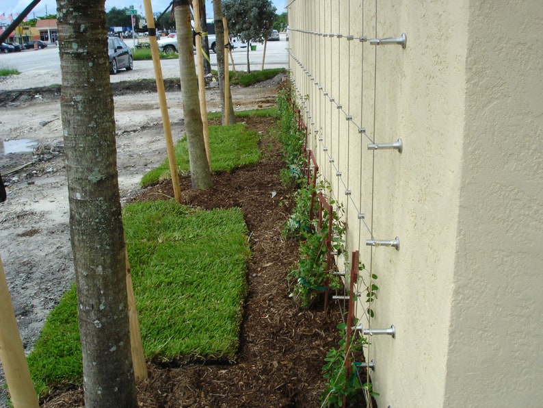 DIY Green Wall Cable Trellis Kit Cable Loft Standoff Etsy