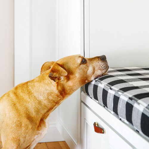 sunbrella outdoor dog bed