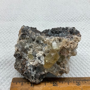 May include: A cluster of yellow topazes in a matrix of gray and black rock. The topazes are clear and have a glassy luster. The rock is rough and textured. The specimen is about 2 inches wide.