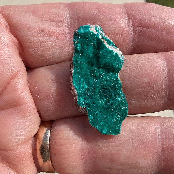 Dioptase crystals mineral specimen Superior Pinal County Arizona estate collection