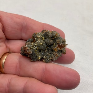 May include: A cluster of small, gray and yellow crystals on a brown matrix. The crystals are clustered together in a dense formation.