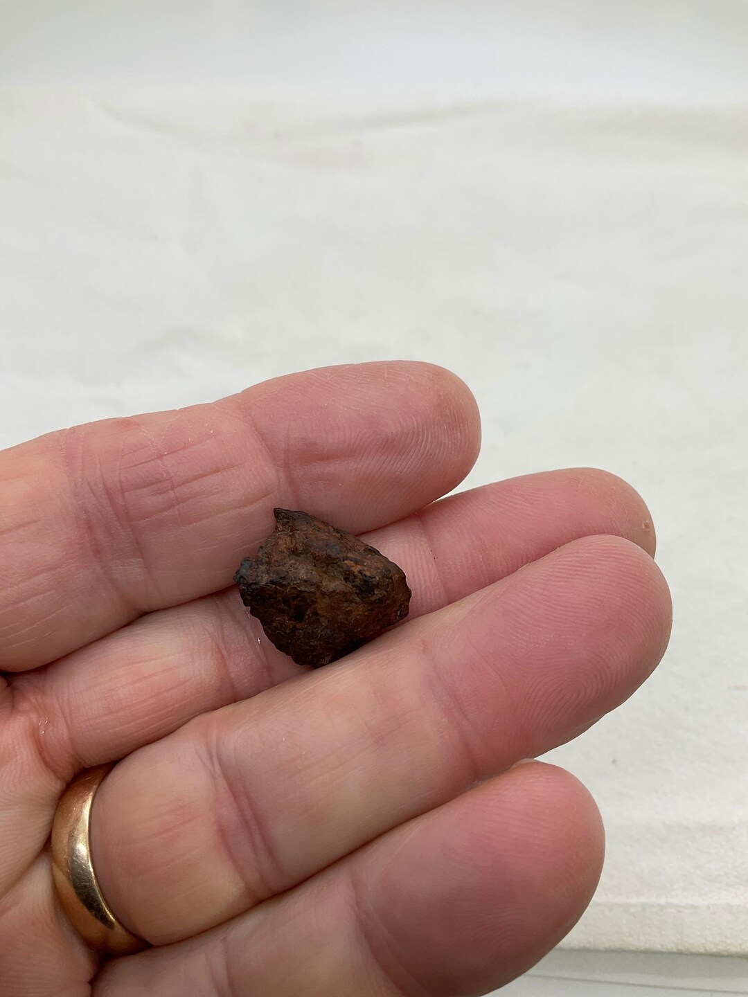 Meteorite Nickel Iron Mineral Specimen Odessa Crater Area Etsy