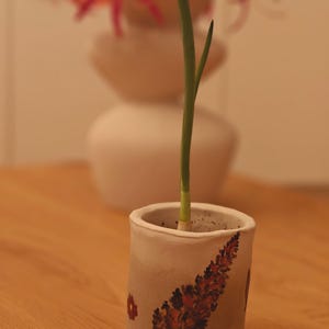DIY Air Dry Clay Keramik Kit: Modelliermasse für Anfänger Bild 2