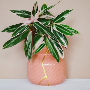 Kit Kintsugi fai da te, set di riparazione Kintsugi, regalo per la casa e l'artigianato, regalo per la festa della mamma immagine 6