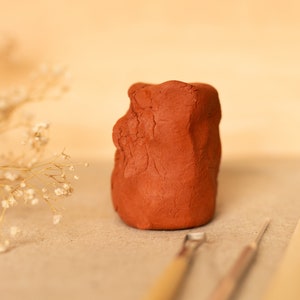Pu&ograve; includere: Primo piano di una scultura in argilla rossa con due strumenti di scultura in legno e metallo.