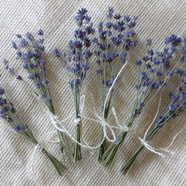 Dried Lavender Bouquet Etsy