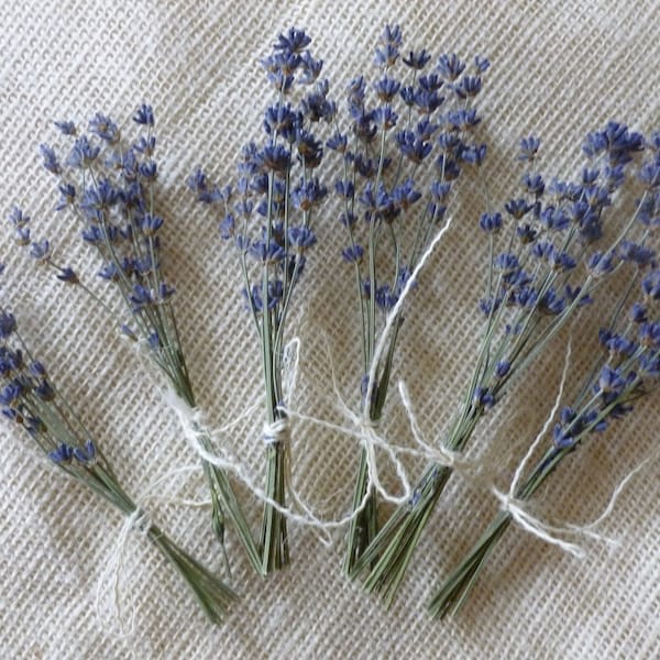 Mini Dried Lavender Bouquets, Wedding Flowers, Bridal Shower Ideas, Wedding Favors, Dried Lavender Bunches