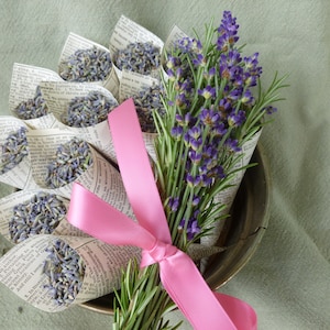 Fragrant Lavender & Rosemary in Vintage Paper Cones - 2023 Crop