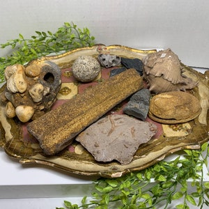 May include: A collection of rocks, shells, and other natural objects arranged on a decorative tray with a gold and pink painted design.