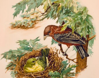 Antique Boehm Porcelain Plate, Scarlet Tanager Bird, Woodland Series
