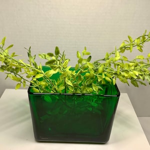 May include: A green glass square vase with a leafy green plant inside.