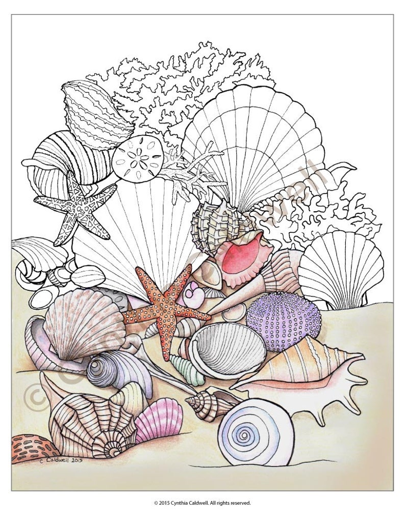 Seashells Coloring Page Instant Download image 1