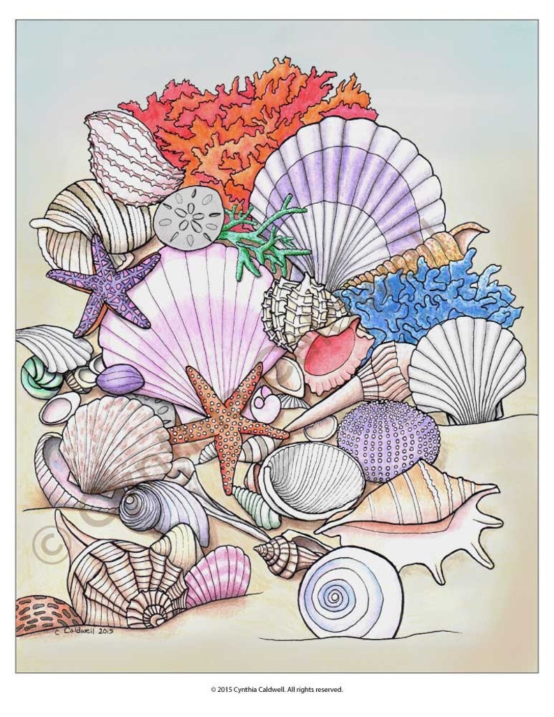 Seashells Coloring Page Instant Download image 3