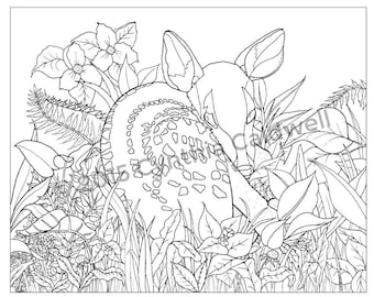 Fawn in the Grass Coloring Page Instant Download