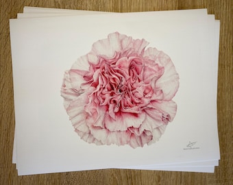 Pink Carnation Art Print, Layered Floral Drawing (9x12" Print)