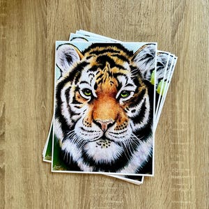 Tiger-Skizze