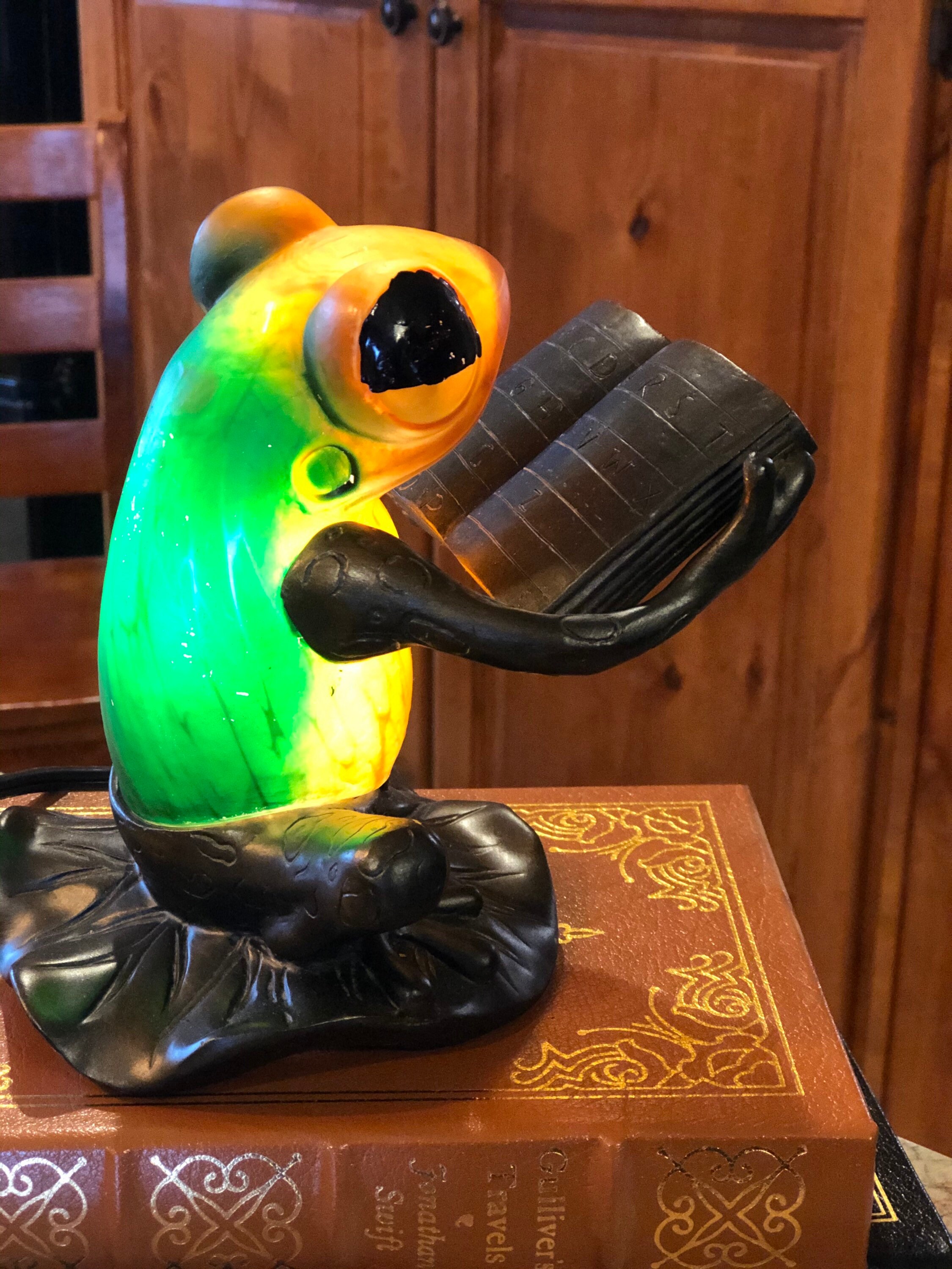 Frog reading light deals