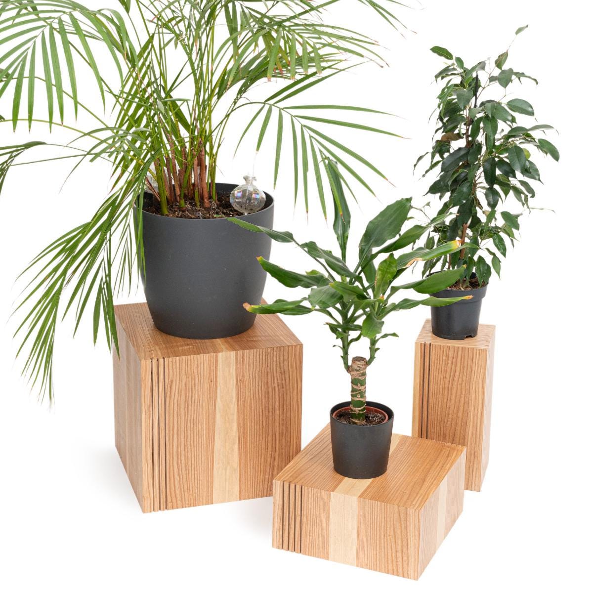 JQTOP Supporto per piante in legno robusto, base rialzata per fioriere 13-38 cm, adatto per soggiorno, balcone, patio