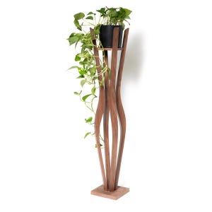 May include: A tall wooden plant stand with a square base and a black pot holding a green leafy plant. The stand features a distinctive design with curved wooden supports. The plant's vines trail down the side of the stand.