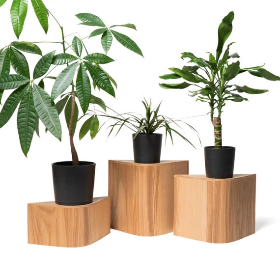 Confezione Da 2 Supporti Per Piante In Legno - Altezza 17,8 Cm, Diametro 30,5 Cm - Robusti E Facili Da Montare Senza Viti - Per Interni - 2