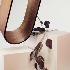 May include: A curved, wooden sculpture with a rich brown finish, suspended above a geometric, light pink block. Dark red-brown leaves and stems add a natural contrast to the minimalist design. The piece evokes a sense of modern art and natural elements.