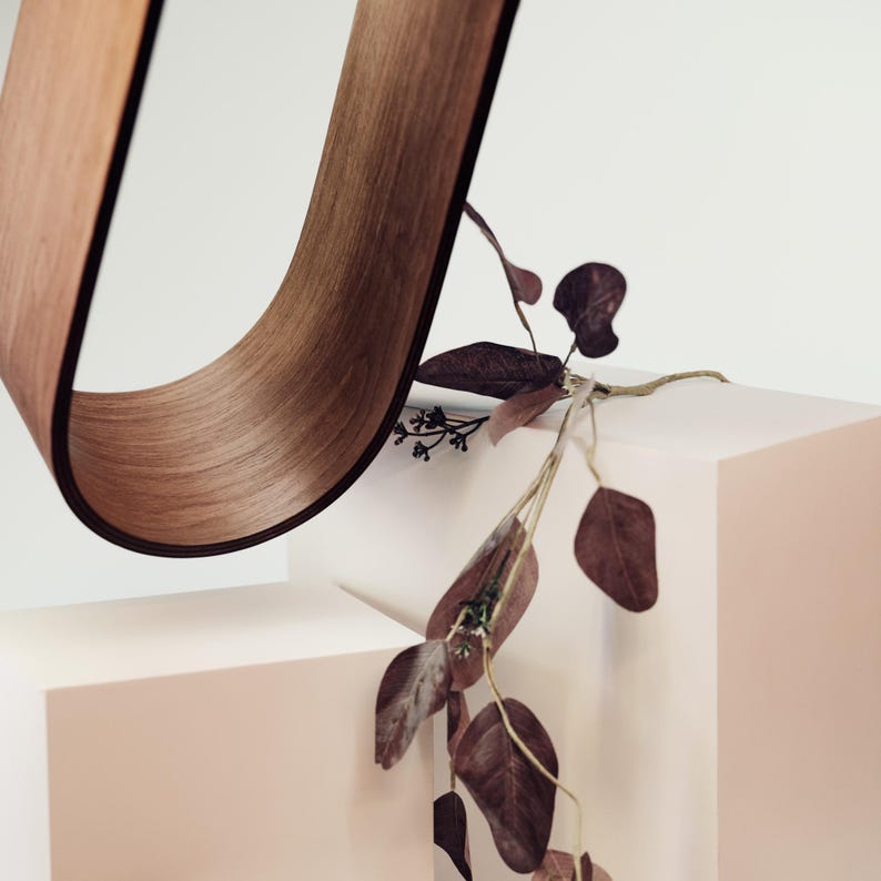 May include: A curved, wooden sculpture with a rich brown finish, suspended above a geometric, light pink block. Dark red-brown leaves and stems add a natural contrast to the minimalist design. The piece evokes a sense of modern art and natural elements.
