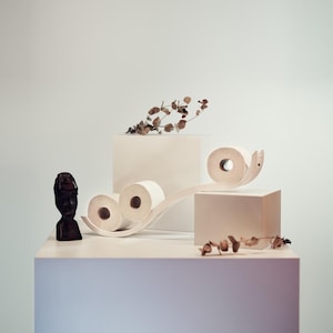 Puede incluir: Una composición de naturaleza muerta con rollos de papel higiénico blancos dispuestos de forma creativa. También hay una pequeña escultura oscura y follaje seco. La escena se desarrolla sobre un fondo suave y neutro.