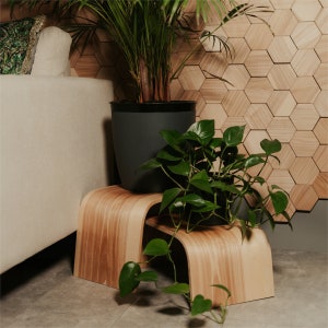 Stufiges Pflanzenregal, Einzigartiger Holz-Blumentopf-Ständer für den Innenbereich, Moderner Podest-Riser, Blumenpiedestal, Pflanzregal