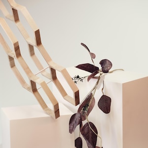 May include: A light-colored wooden wine rack featuring a repeating hexagonal honeycomb structure. The rack is positioned at an angle, accompanied by a decorative stem of dark purple-brown dried eucalyptus leaves with visible stems and foliage.