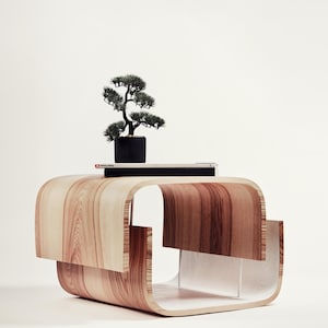 Può includere: Un tavolino moderno in legno curvo con finitura a venature naturali. Un piccolo bonsai in un vaso nero e due libri sono appoggiati sopra. Il tavolo ha un design aperto unico con un interno di colore chiaro.