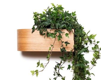 Wall Mounted Planter Indoor, Wooden Plant Shelf, Hanging Floating Display Rack for Plants, Succulents, Herbs, Curved Scandinavian Shelves