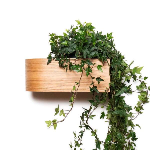 Wall Mounted Planter Indoor, Wooden Plant Shelf, Hanging Floating Display Rack for Plants, Succulents, Herbs, Curved Scandinavian Shelves