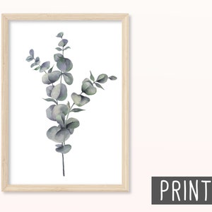 Eukalyptus POSTER DIN A5, A4 Kunstdruck, Print, Wandbild, Blumen, Pflanzen, Grün, Wohnzimmer, Wohnung, Natur, Blätter, Trockenblumen Print 1