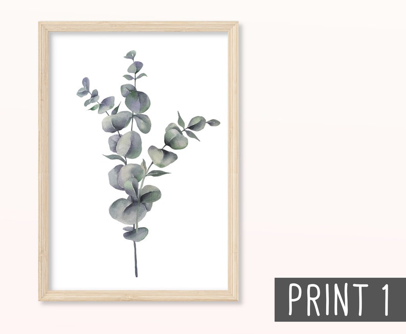 Eukalyptus POSTER DIN A5, A4 Kunstdruck, Print, Wandbild, Blumen, Pflanzen, Grün, Wohnzimmer, Wohnung, Natur, Blätter, Trockenblumen Print 1