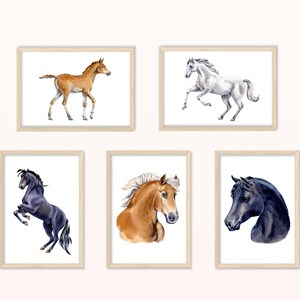 Póster Caballos - A5 y A4 - Póster infantil cuadro pared habitación infantil cuadro imágenes infantiles regalo equitación niña caballo niña animal póster