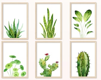 Plants POSTER - DIN A5, A4 - Print, mural, nature, garden, kitchen, cactus, flowers, green, leaves, apartment, living room