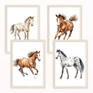 Póster Caballos - A5 y A4 - Póster infantil cuadro pared habitación infantil cuadro imágenes infantiles regalo equitación niña caballo niña animal póster