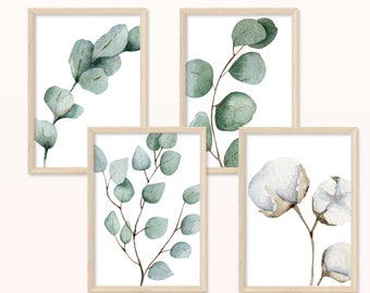 Eucalyptus and Cotton POSTER - DIN A5, A4 - Art Print, Print, Mural, Flowers, Plants, Green, Living Room, Apartment, Nature, Leaves