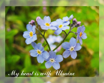 Ukraine shops digital download, Digital File, Ukraine card downloadable, Forget me nots instant download