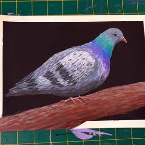 May include: A detailed painting of a pigeon perched on a brown branch against a black background. The bird has gray and white feathers with iridescent blue and purple hues on its neck. The artwork is framed with a white border.
