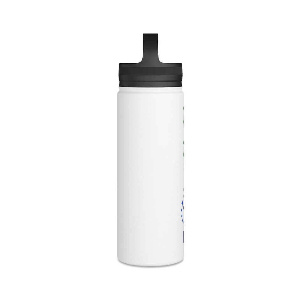 Discover Stainless Steel Water Bottle, Handle Lid