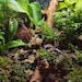 Moss Factory